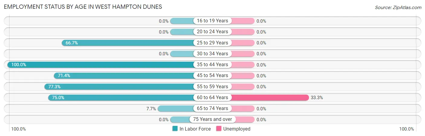 Employment Status by Age in West Hampton Dunes