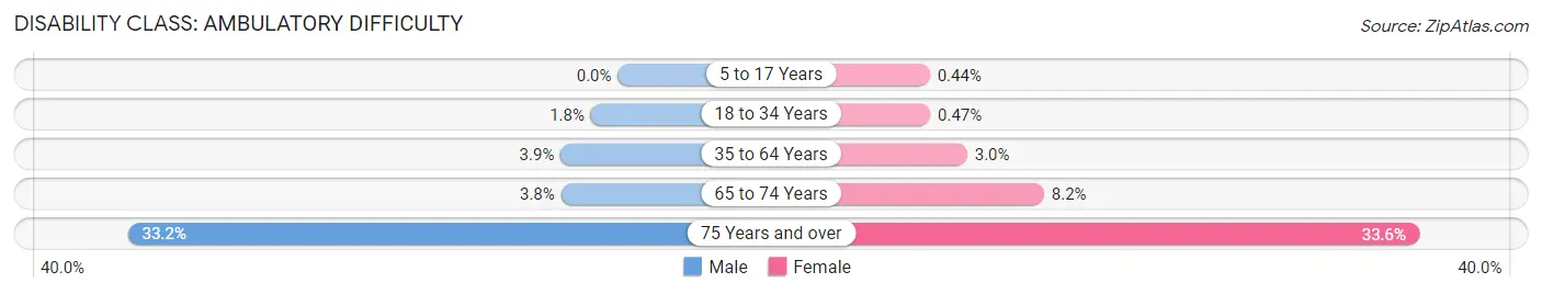 Disability in West Hempstead: <span>Ambulatory Difficulty</span>