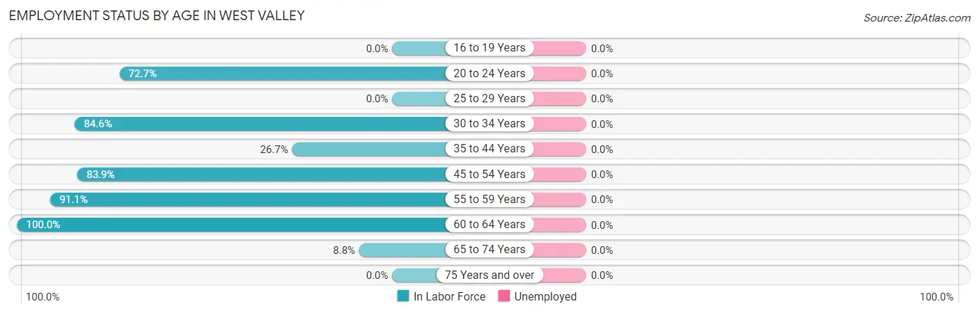 Employment Status by Age in West Valley