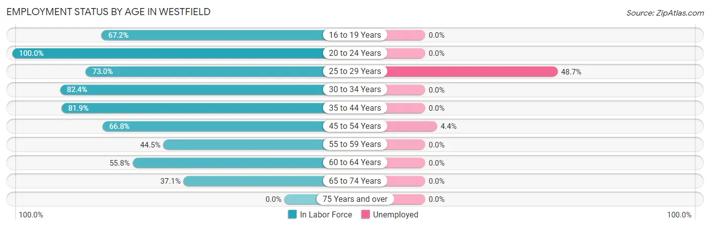 Employment Status by Age in Westfield
