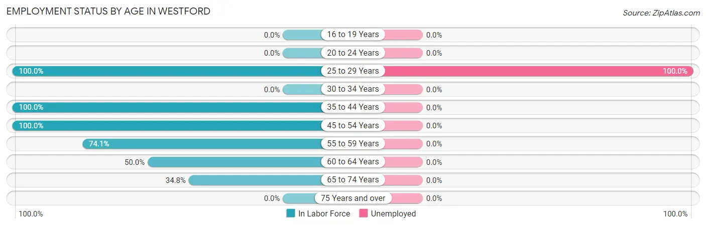 Employment Status by Age in Westford