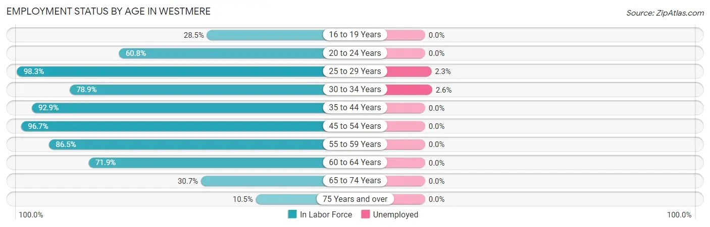 Employment Status by Age in Westmere