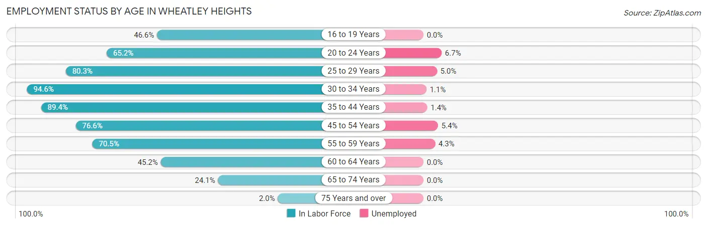Employment Status by Age in Wheatley Heights