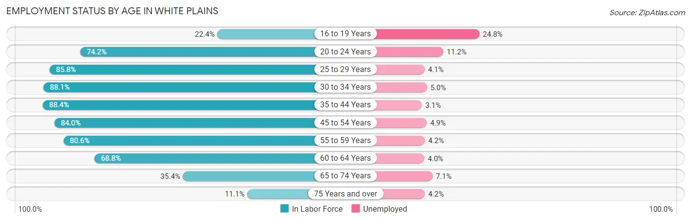 Employment Status by Age in White Plains