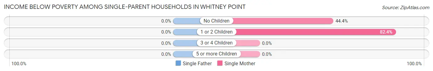 Income Below Poverty Among Single-Parent Households in Whitney Point
