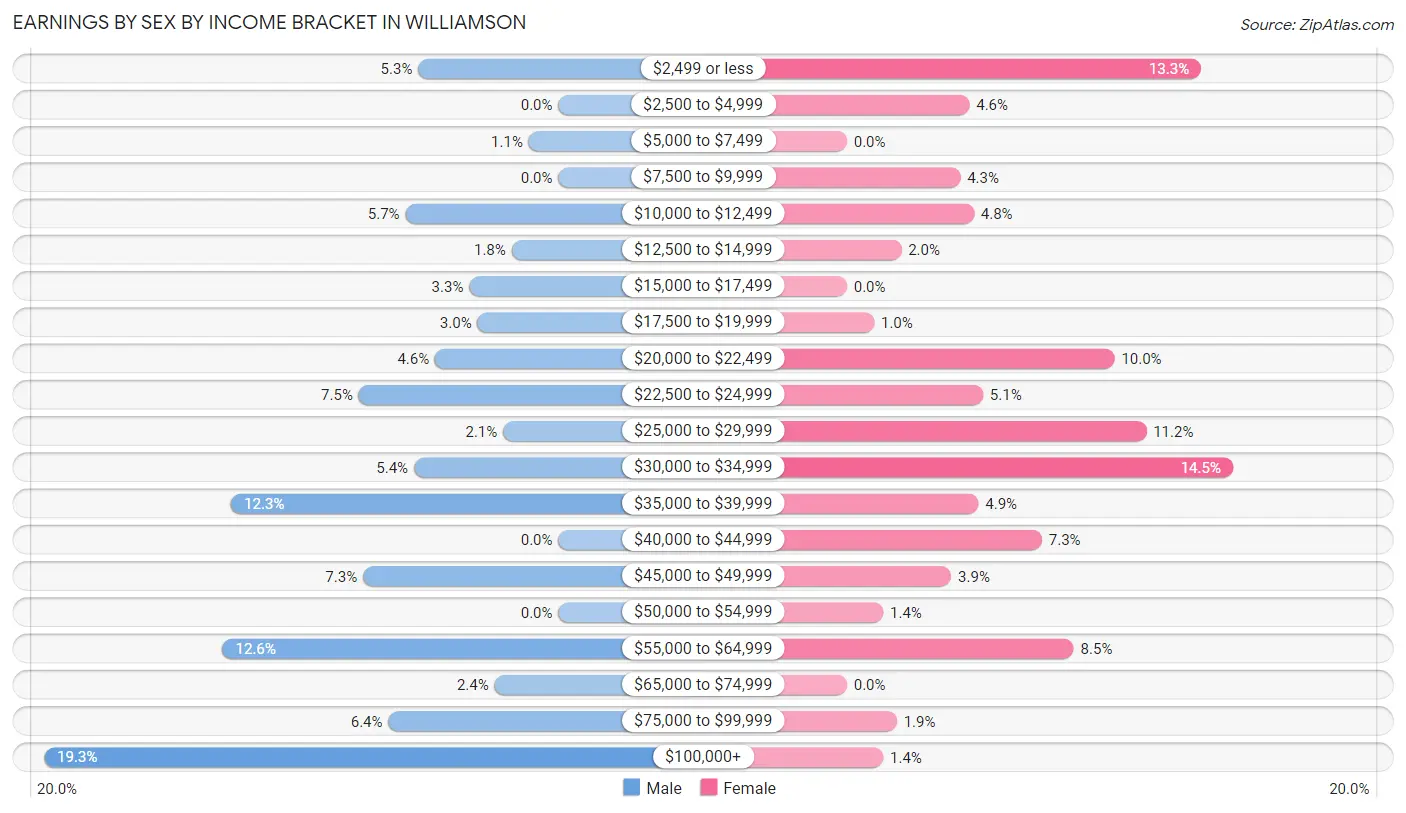 Earnings by Sex by Income Bracket in Williamson