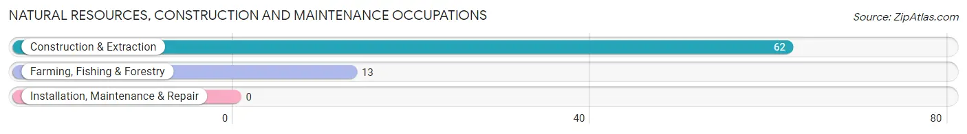 Natural Resources, Construction and Maintenance Occupations in Williamson