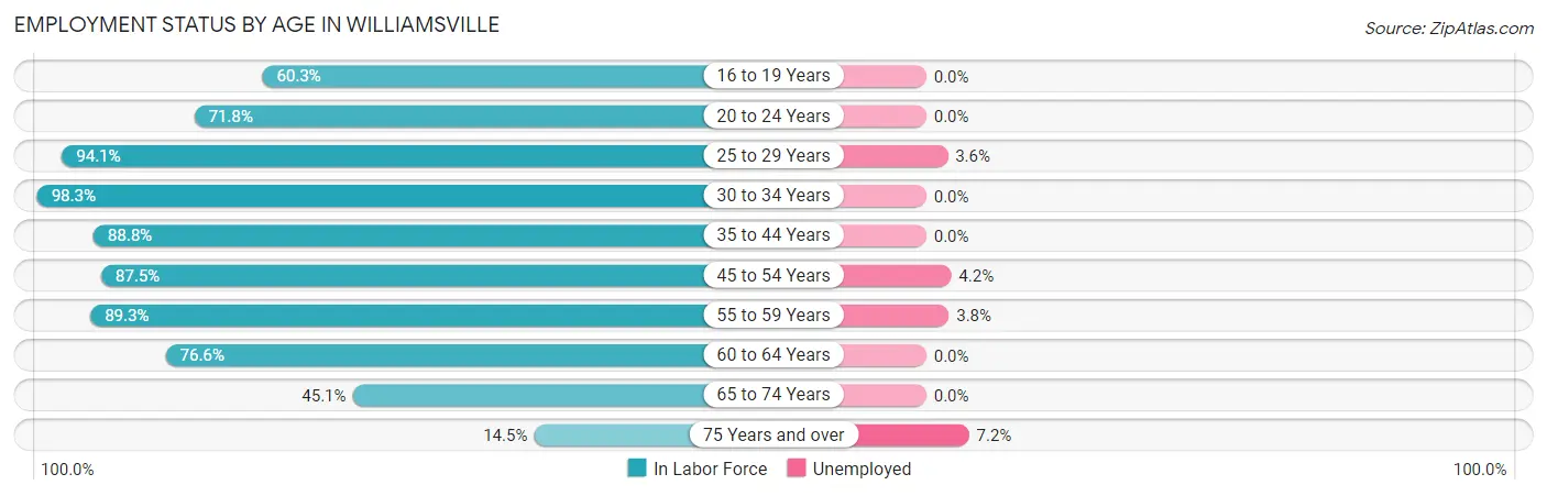 Employment Status by Age in Williamsville