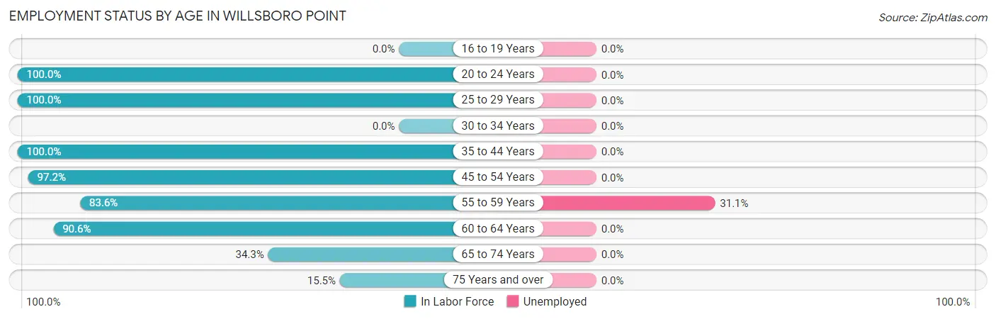 Employment Status by Age in Willsboro Point