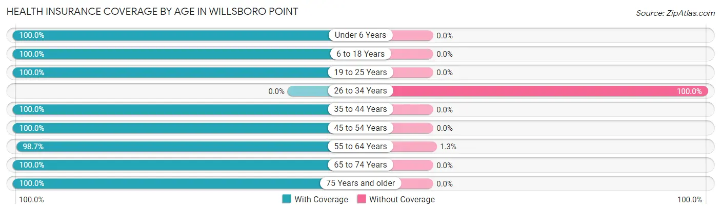 Health Insurance Coverage by Age in Willsboro Point