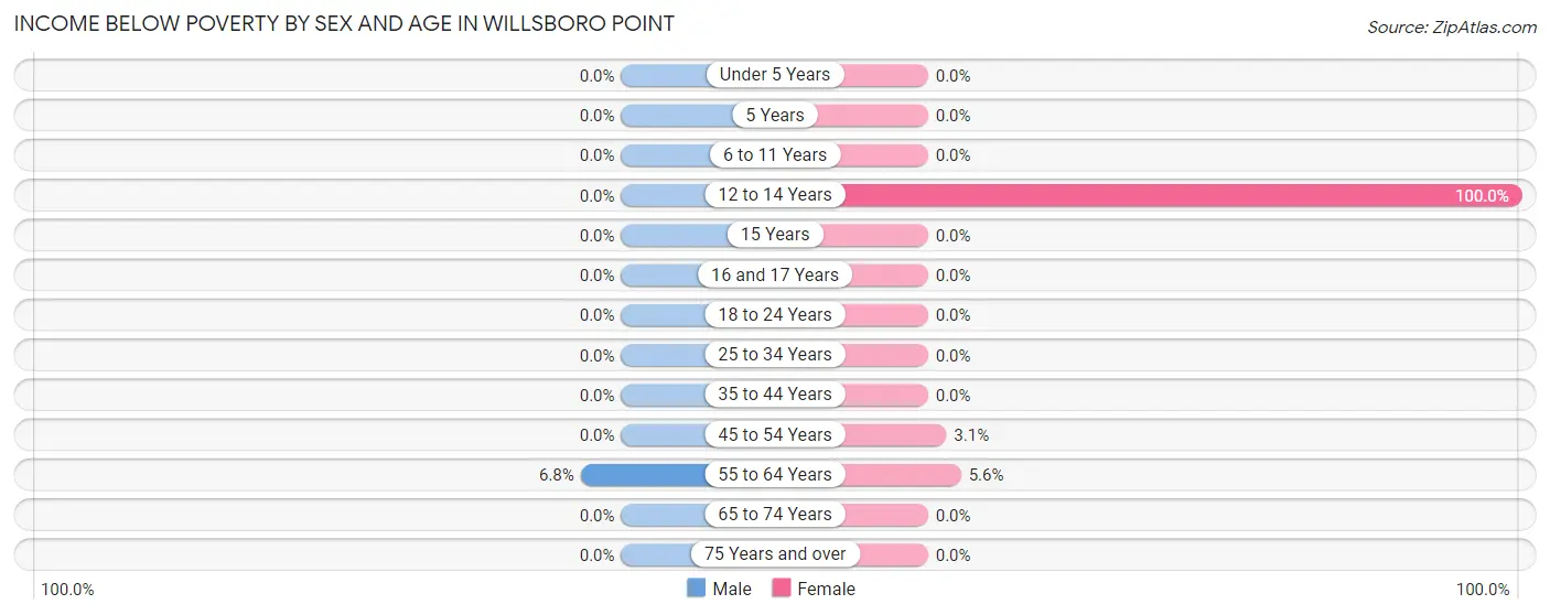 Income Below Poverty by Sex and Age in Willsboro Point