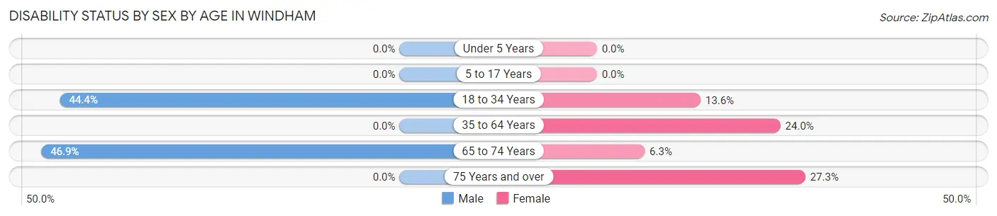 Disability Status by Sex by Age in Windham