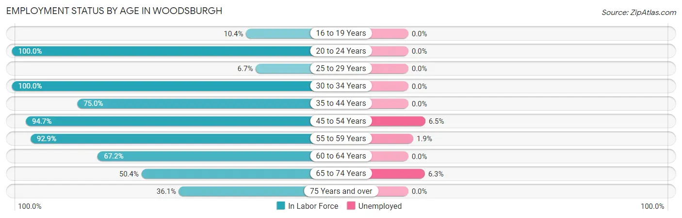 Employment Status by Age in Woodsburgh
