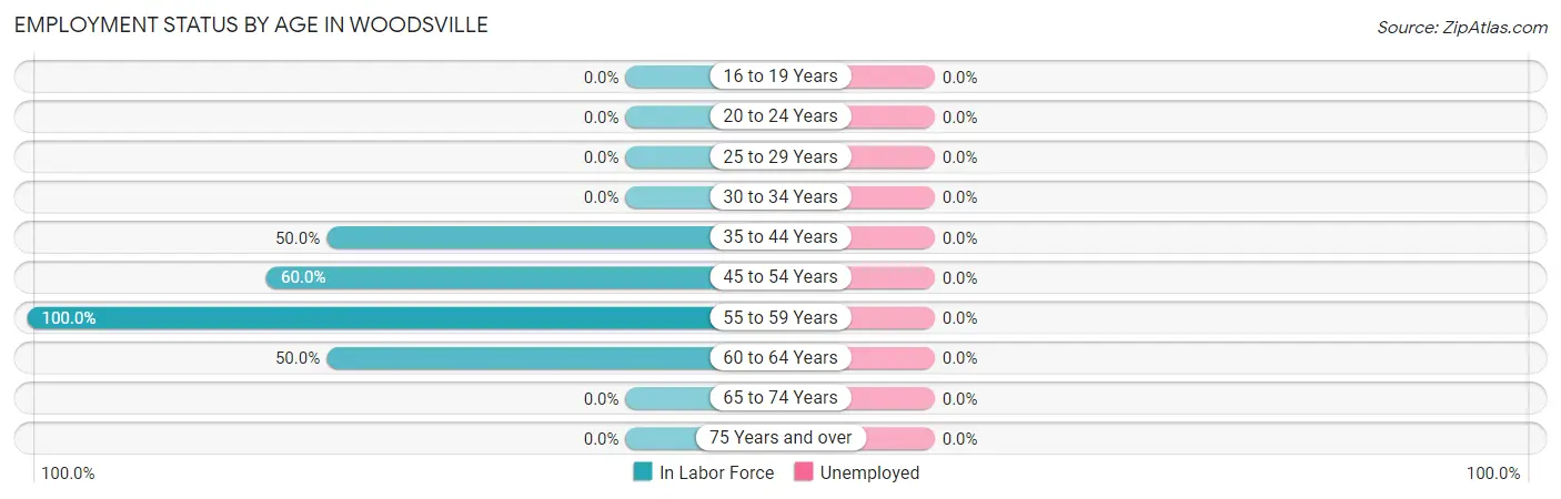 Employment Status by Age in Woodsville