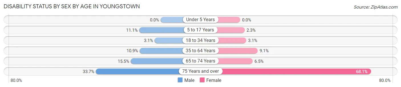 Disability Status by Sex by Age in Youngstown