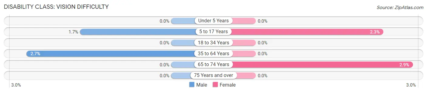 Disability in Youngstown: <span>Vision Difficulty</span>