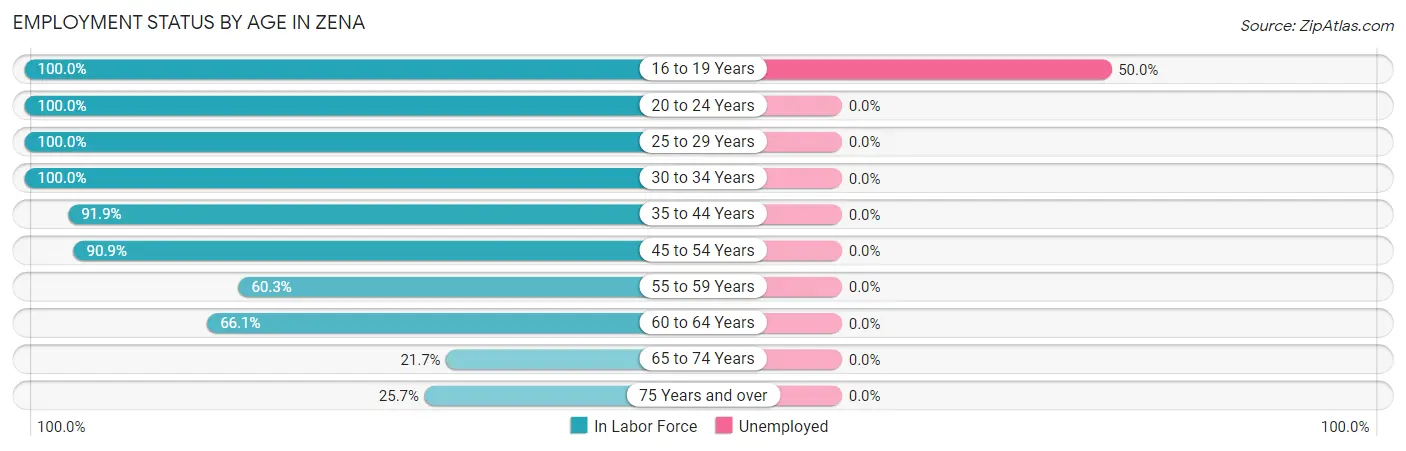 Employment Status by Age in Zena
