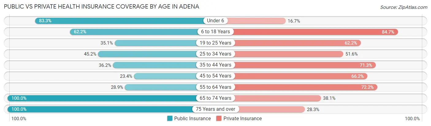 Public vs Private Health Insurance Coverage by Age in Adena