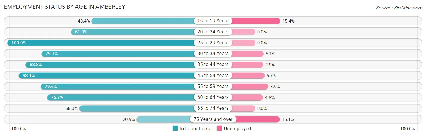 Employment Status by Age in Amberley