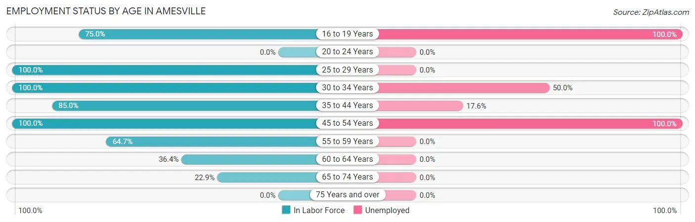 Employment Status by Age in Amesville