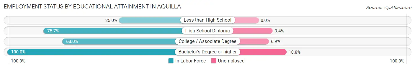 Employment Status by Educational Attainment in Aquilla