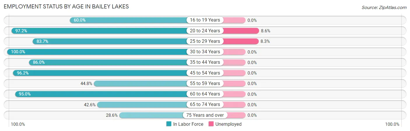 Employment Status by Age in Bailey Lakes