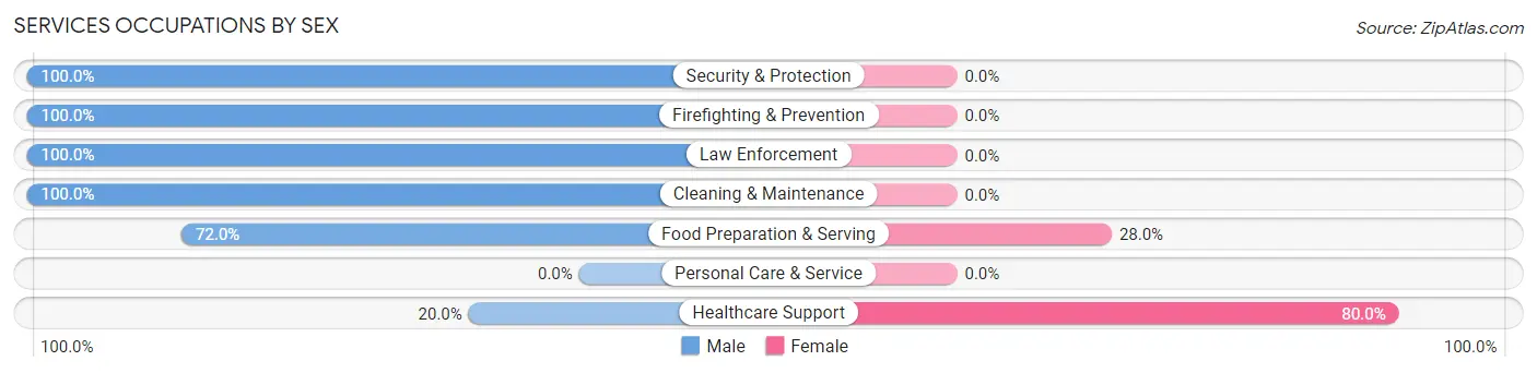 Services Occupations by Sex in Bailey Lakes