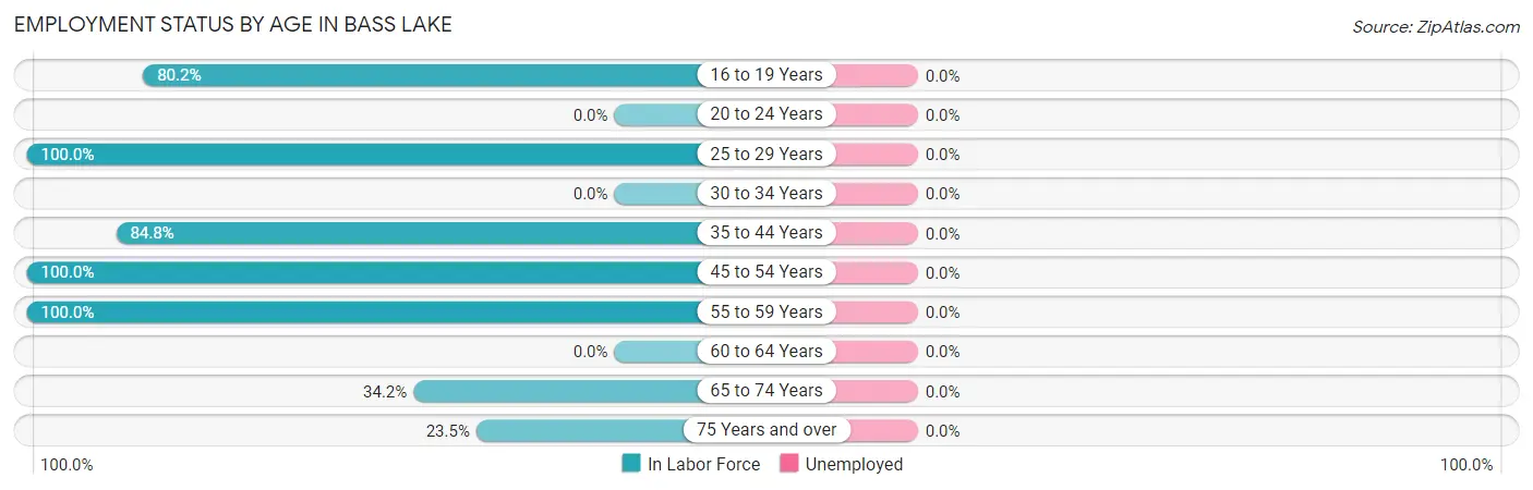 Employment Status by Age in Bass Lake