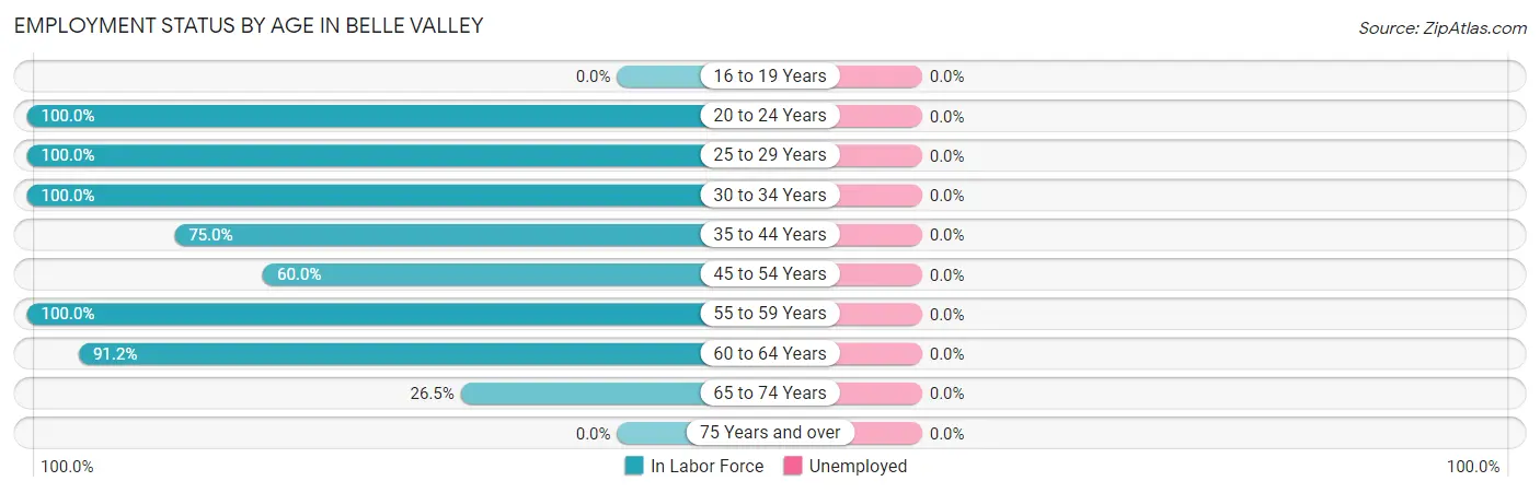 Employment Status by Age in Belle Valley
