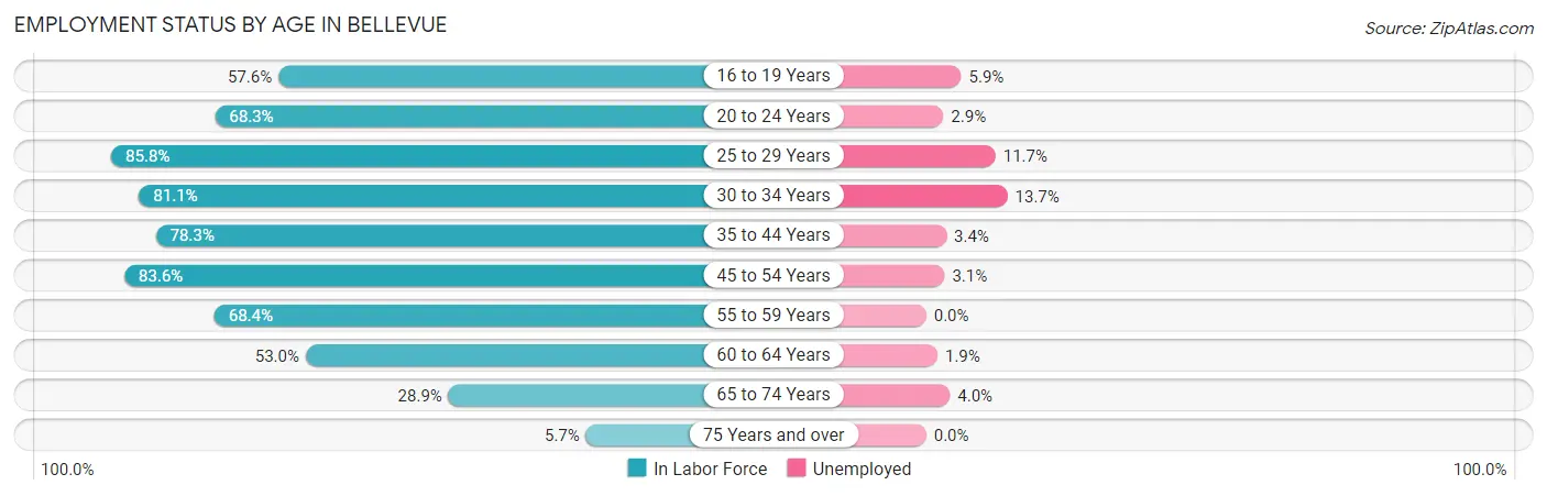 Employment Status by Age in Bellevue