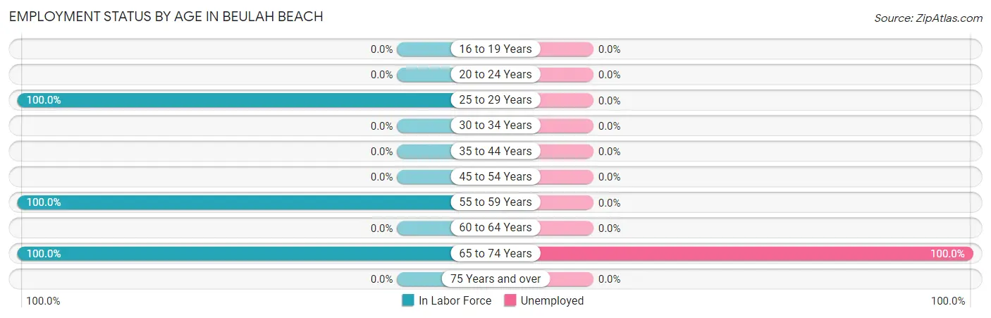 Employment Status by Age in Beulah Beach