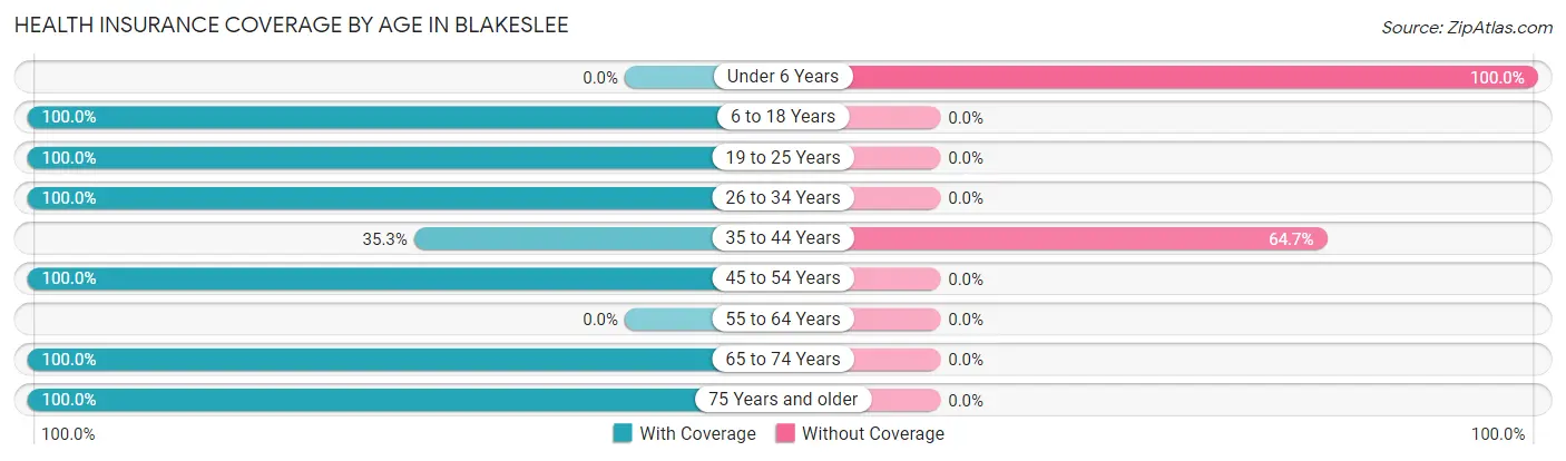 Health Insurance Coverage by Age in Blakeslee