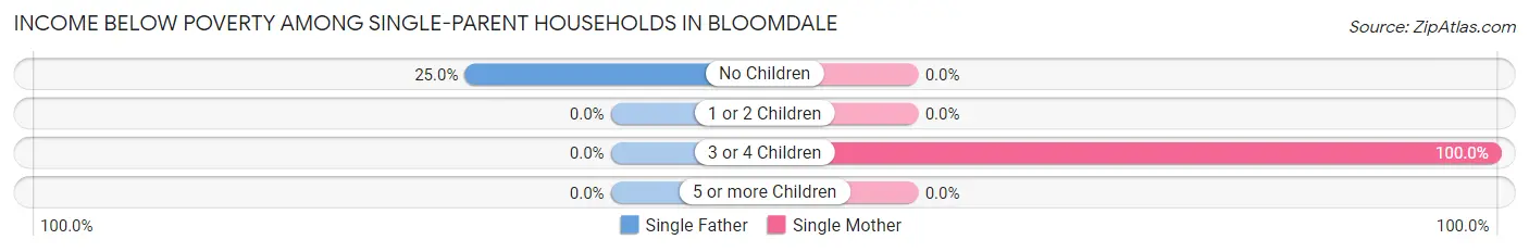Income Below Poverty Among Single-Parent Households in Bloomdale