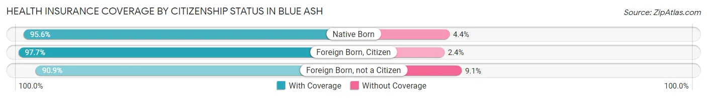 Health Insurance Coverage by Citizenship Status in Blue Ash