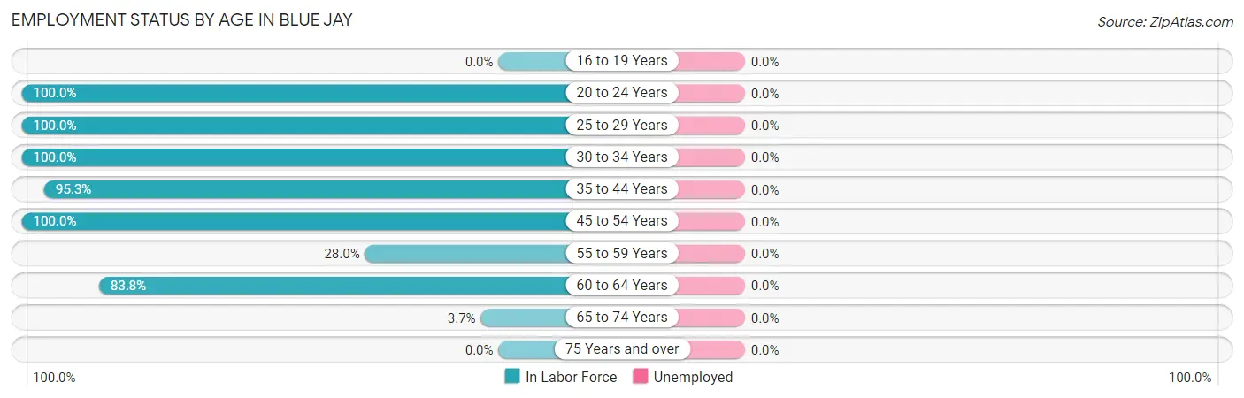 Employment Status by Age in Blue Jay