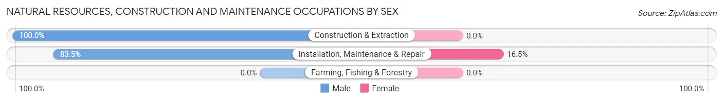 Natural Resources, Construction and Maintenance Occupations by Sex in Bluffton