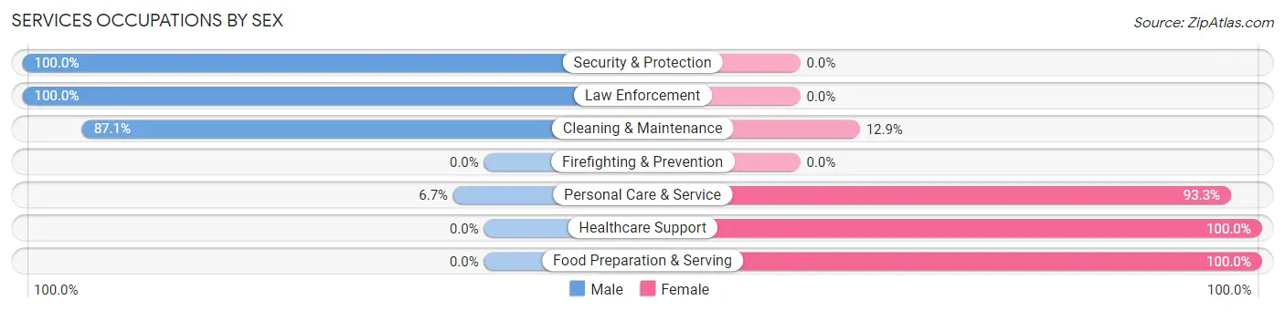Services Occupations by Sex in Bluffton