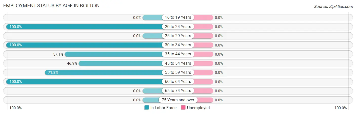 Employment Status by Age in Bolton