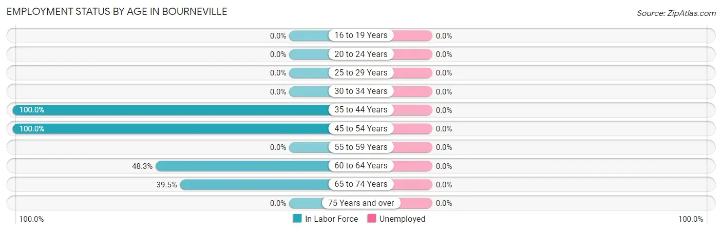 Employment Status by Age in Bourneville