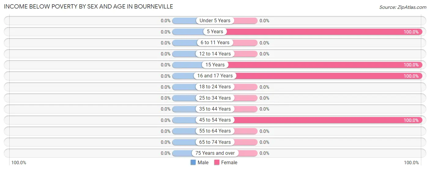Income Below Poverty by Sex and Age in Bourneville