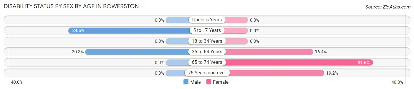Disability Status by Sex by Age in Bowerston