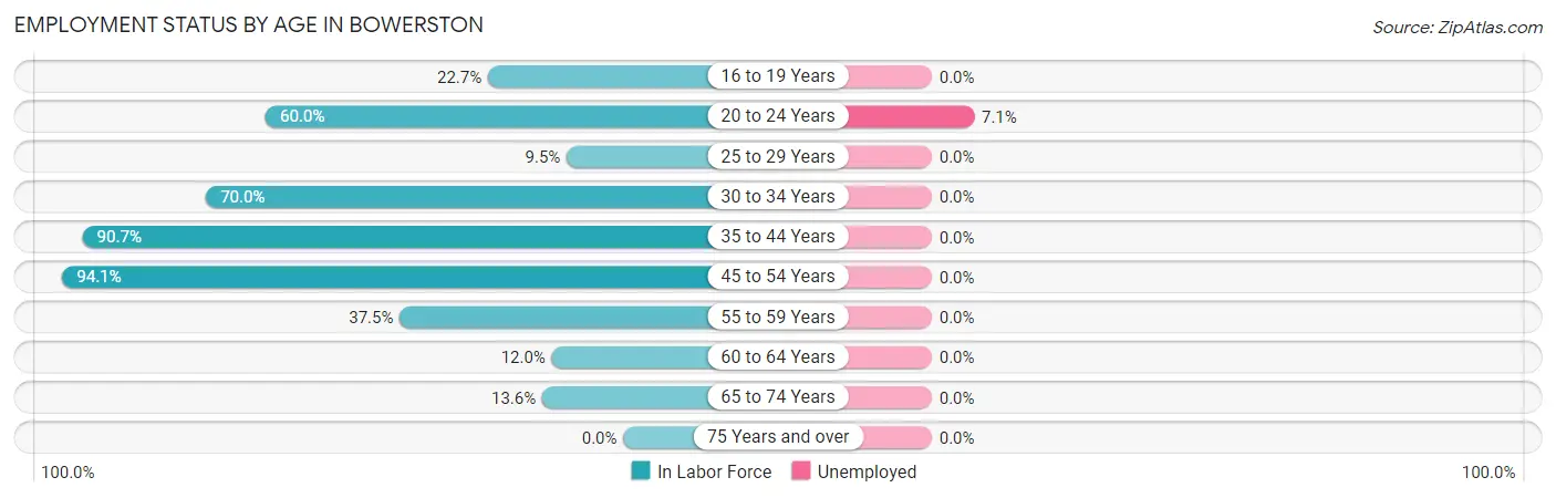 Employment Status by Age in Bowerston