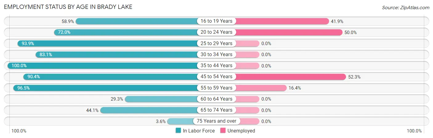 Employment Status by Age in Brady Lake