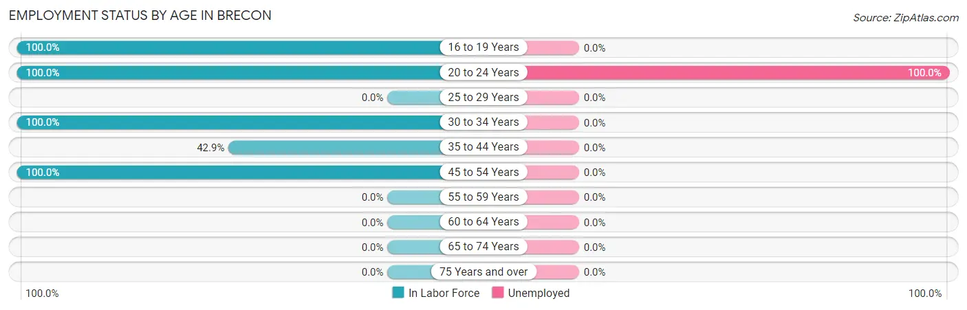 Employment Status by Age in Brecon