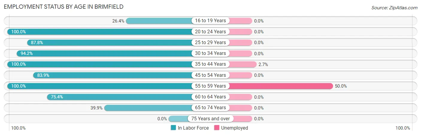 Employment Status by Age in Brimfield