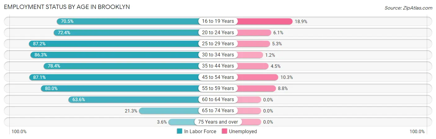 Employment Status by Age in Brooklyn