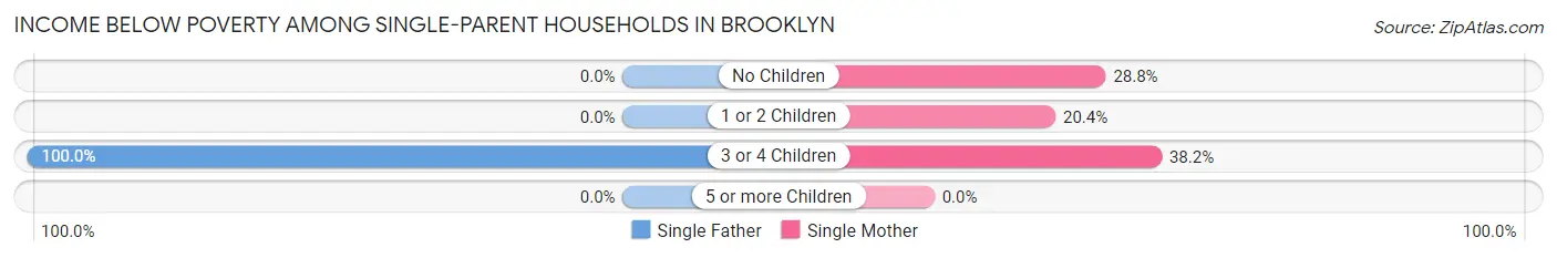 Income Below Poverty Among Single-Parent Households in Brooklyn