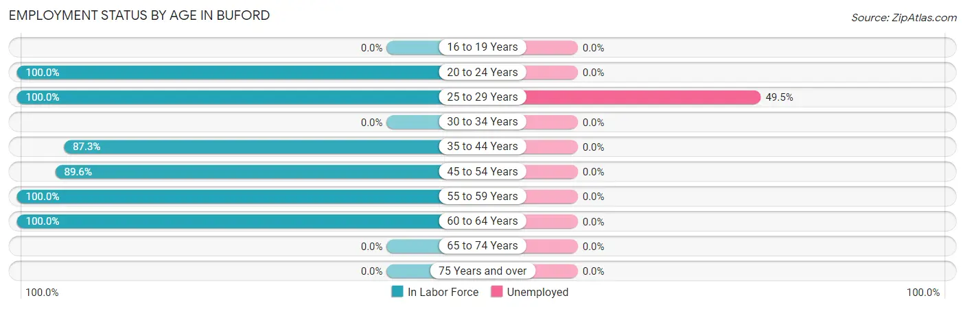 Employment Status by Age in Buford