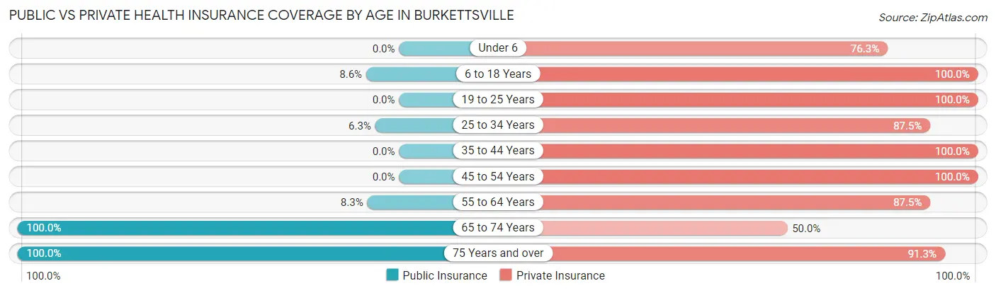 Public vs Private Health Insurance Coverage by Age in Burkettsville