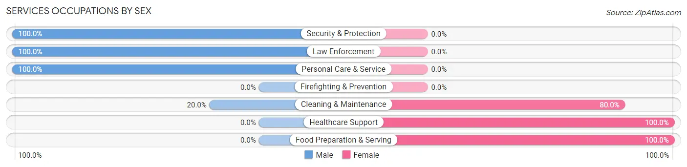 Services Occupations by Sex in Burkettsville